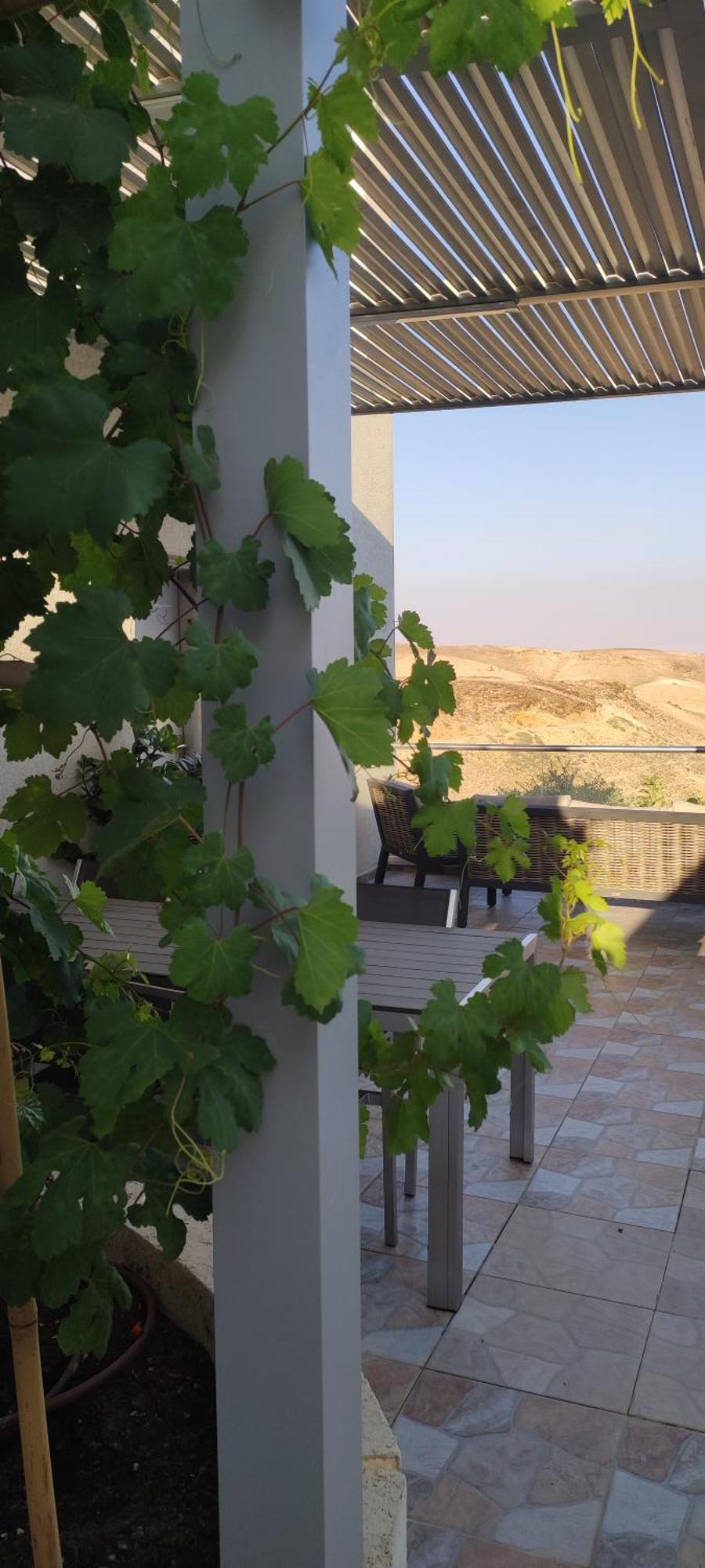 " Arada " Luxury House Villa Kültér fotó